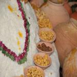 Vraj-Yatra-2014- (1055)